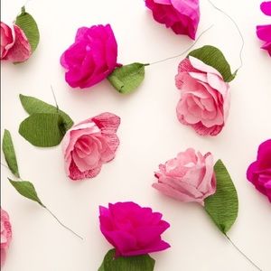 Meet your Posher, Toni